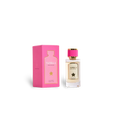 Beauty - Fragrance