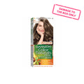 Garnier Color Naturals 6.1 Dark Ash Blonde (damage)