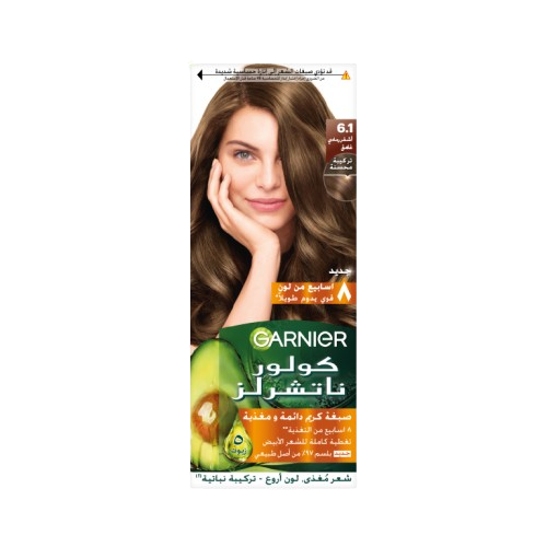 Garnier Color Naturals 6.1 Light Ash Brown