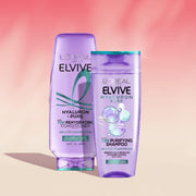 فروة الرأس الدهنية الدولية / تراكم