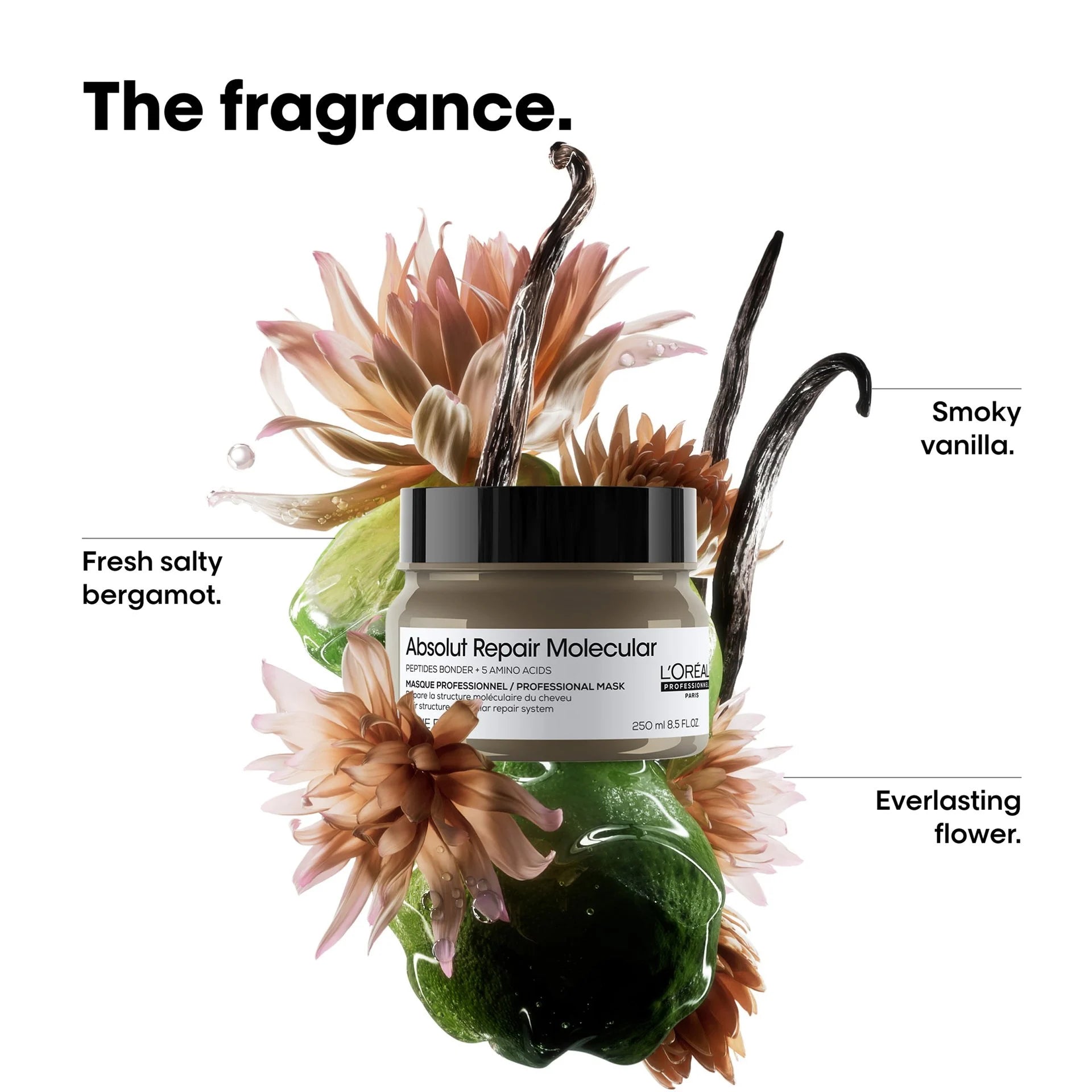 L'Oréal Professionnel Absolut Molecular Mask 250ml