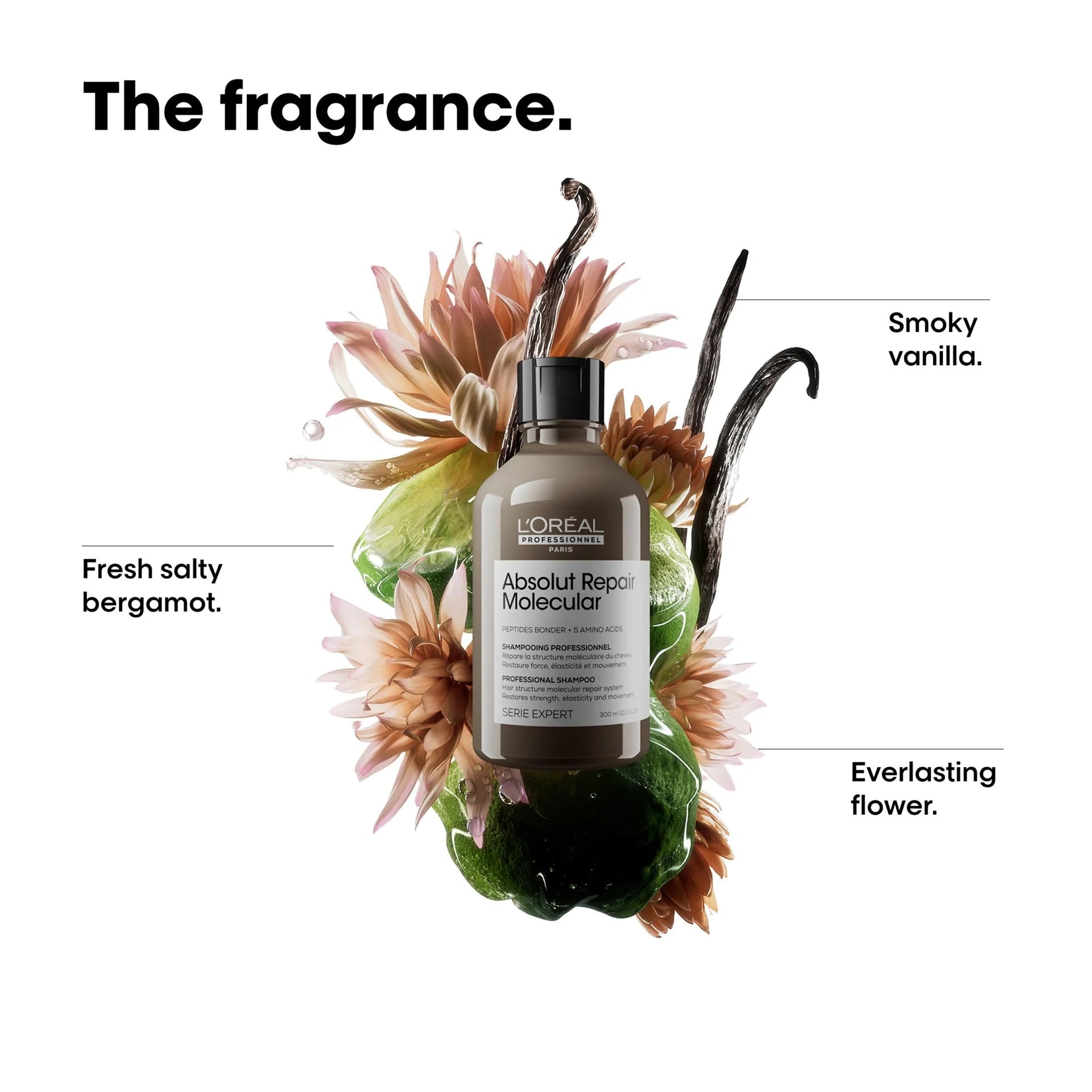 L'Oréal Professionnel Absolut Molecular Shampoo 300ml